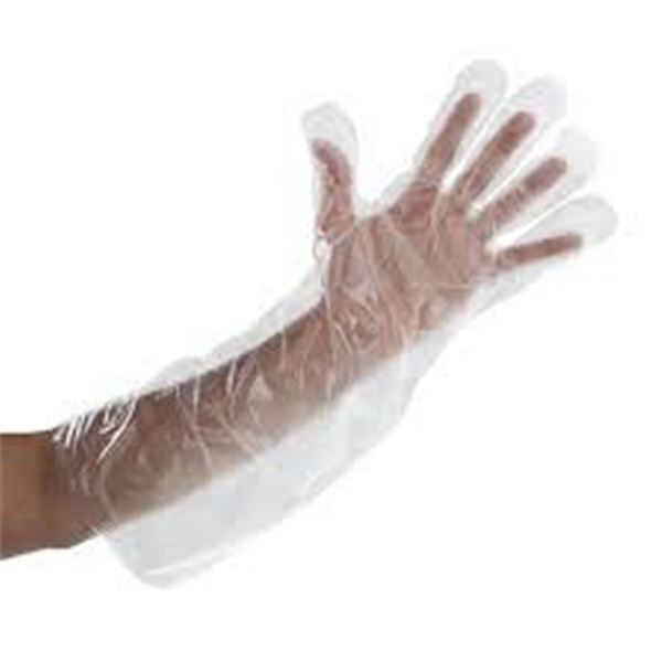 NEW 250PK POLY GLOVES ONE SIZE