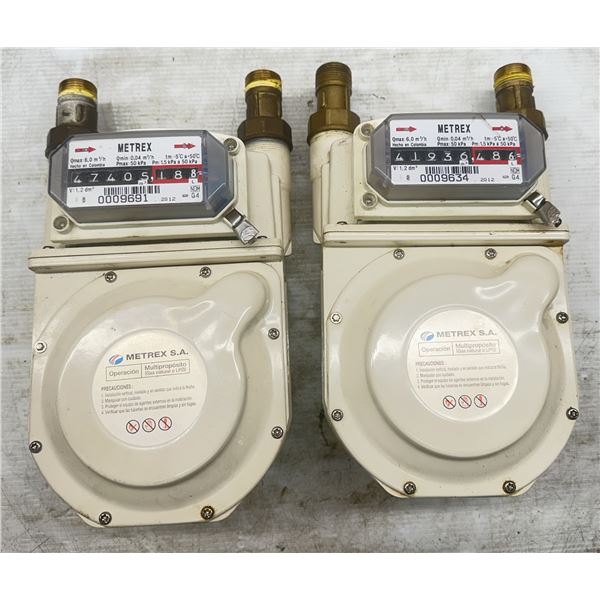 (2) Metrex Gas Meters