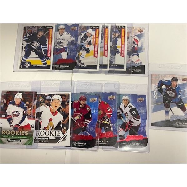 2016-17 12 card set