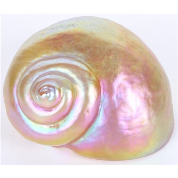CARL RADKE PHEONIX STUDIO ART GLASS SHELL