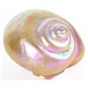 Image 4 : CARL RADKE PHEONIX STUDIO ART GLASS SHELL