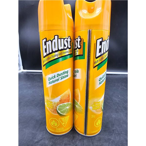 Endust Multi-Surface Cleaner Spray, Orange Citrus Burst, 284g, Set of Two
