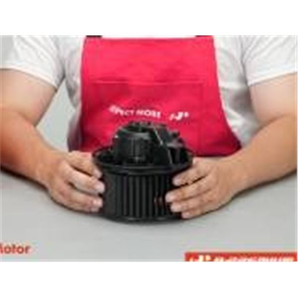 TPI Corporation Blower Motor Model No. 496