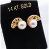 Image 2 : 14KYG Mikimoto Pearl Nautilus/Shell Design Stud Earrings