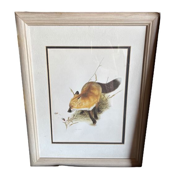 FRAMED ART PRINT OF A FOX
