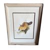 Image 1 : FRAMED ART PRINT OF A FOX