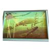 Image 1 : FRAMED 3D FISH PHOTO B