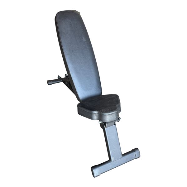 WEIGHT BENCH WITH 12 WEIGHTS