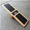 Image 1 : THE EXTREME BALANCE BOARD