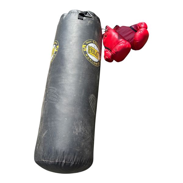 EVERLAST - PUNCHING BAG AND GLOVES