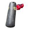Image 1 : EVERLAST - PUNCHING BAG AND GLOVES