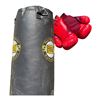 Image 2 : EVERLAST - PUNCHING BAG AND GLOVES