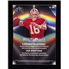 Image 2 : 2024 LEAF JOE MONTANA WHITE LIGHT AUTO