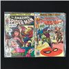 Image 1 : LOT OF 2 AMAZING SPIDERMAN COMICS #177 AND #178 - MARVEL COMICS