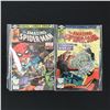 Image 1 : LOT OF 2 AMAZING SPIDERMAN COMICS #205 AND #206 - MARVEL COMICS