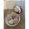Image 1 : Shell decor
