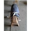 Image 2 : Small Mini Bareback Pad - NO SAWHORSE