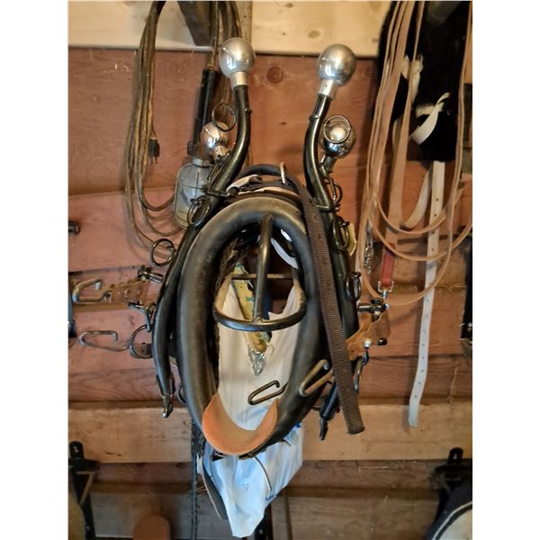 (2) Mini Driving Full Harnesses w/Chains in Bag
