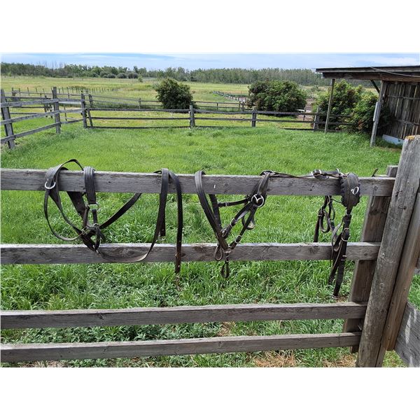 (2) Assorted Mini Harnesses