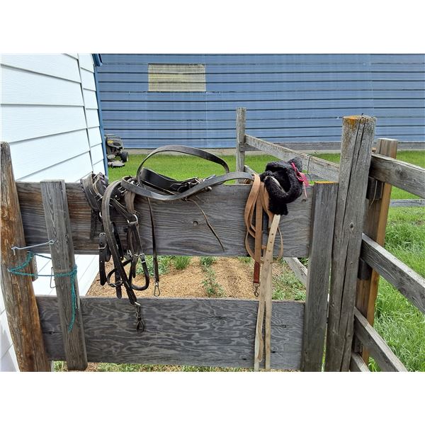 Mini Harnesses and Accessories