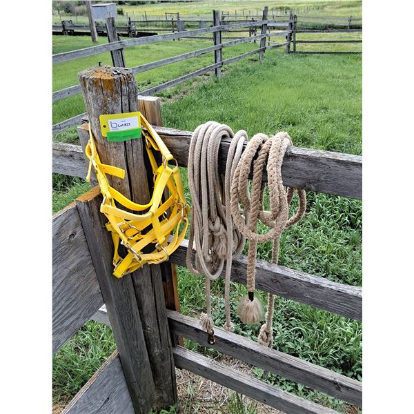 (3) Halters (2) Ropes Leads for Mini's