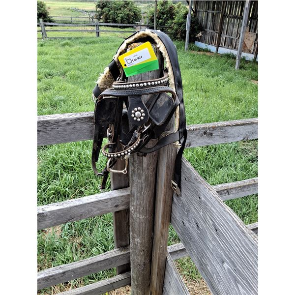 Small Mini Driving Bridle