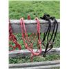 Image 3 : (4) Rope Halters for Mini's, (2) Cinches, Lunge Line