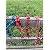 Image 4 : (4) Rope Halters for Mini's, (2) Cinches, Lunge Line