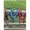 Image 5 : (4) Rope Halters for Mini's, (2) Cinches, Lunge Line