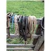 Image 3 : Miscellaneous Mini Reins and Leads