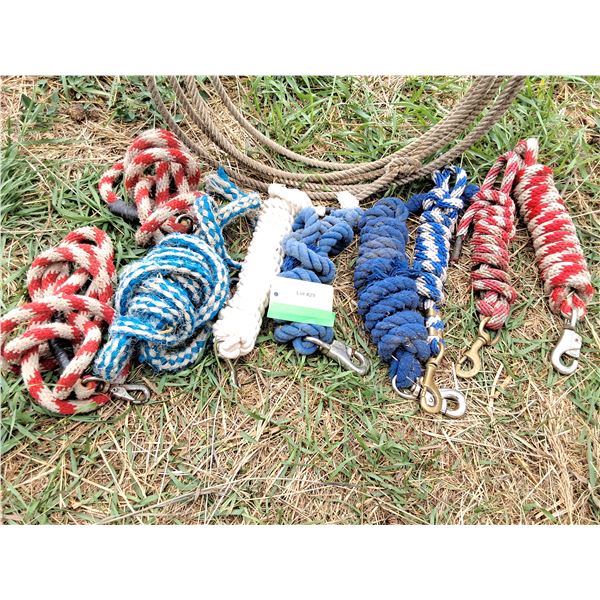 Lariat and (9) Leads