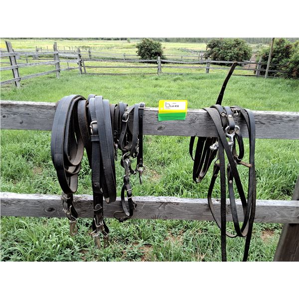 Mini Harness and Bridle with Reins