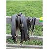 Image 2 : Mini Harness and Bridle with Reins