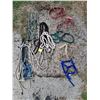 Image 1 : (7) Halters for Mini's (4) Ropes