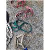 Image 5 : (7) Halters for Mini's (4) Ropes