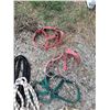 Image 6 : (7) Halters for Mini's (4) Ropes
