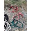 Image 7 : (7) Halters for Mini's (4) Ropes