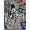 Image 8 : (7) Halters for Mini's (4) Ropes