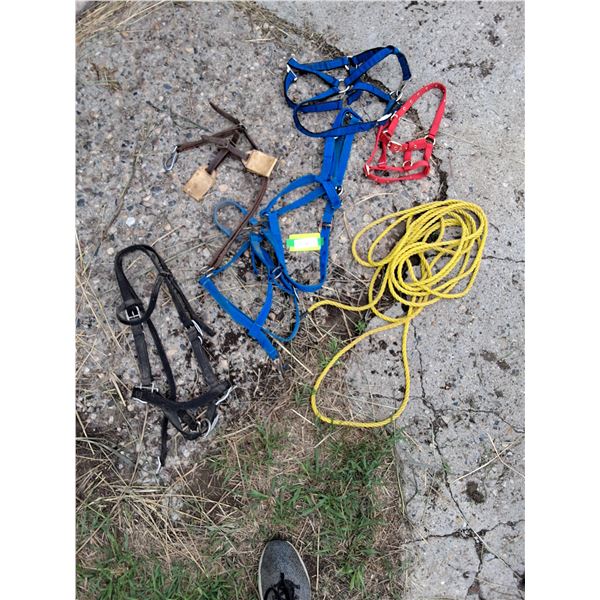 (5) Halters, (1) Ropes, A Blinder For Mini's