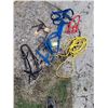 Image 1 : (5) Halters, (1) Ropes, A Blinder For Mini's