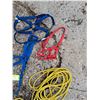 Image 5 : (5) Halters, (1) Ropes, A Blinder For Mini's