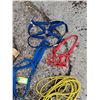 Image 6 : (5) Halters, (1) Ropes, A Blinder For Mini's