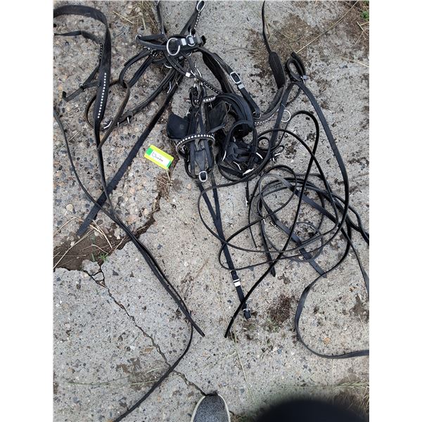 Mini Bridle with Spots, Harness, set of Reins