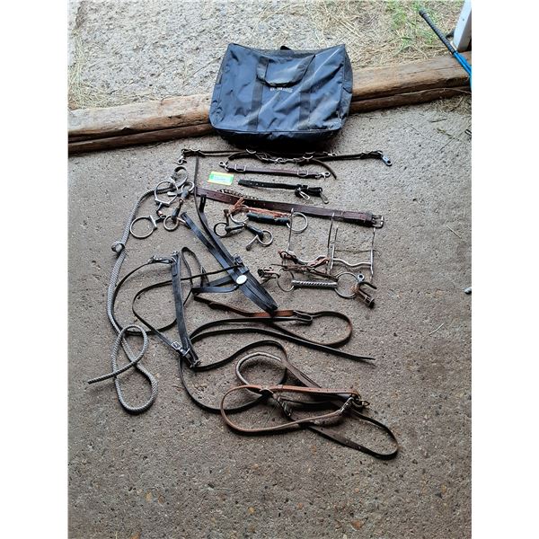 Various Horse Bits And Bridle Straps