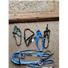 Image 2 : (4) Halters, (2) Lead Ropes, Bridle