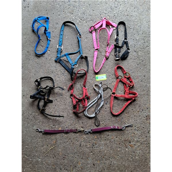 (7) Halters