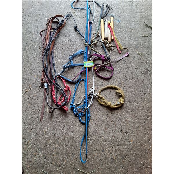 (2) Rope Halters (2) Regular Halters, Various Leather Reins, Assorted Crops/Whip