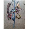 Image 1 : (2) Rope Halters (2) Regular Halters, Various Leather Reins, Assorted Crops/Whip