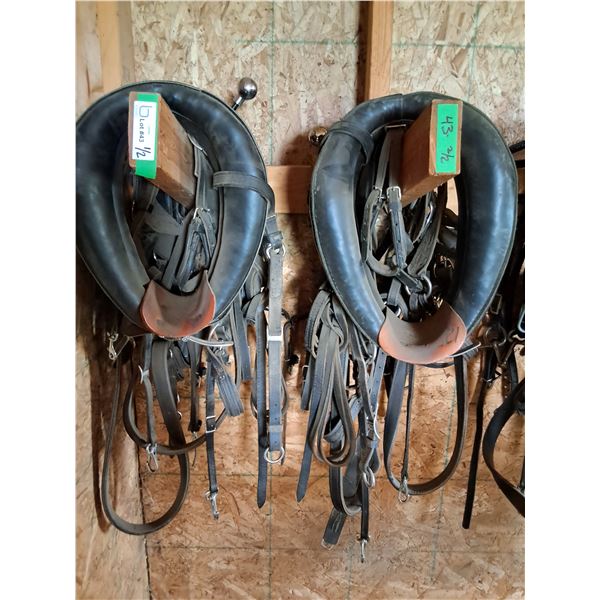 (2) Mini Driving Harnesses w/Bridles
