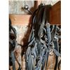 Image 2 : (2) Mini Driving Harnesses w/Bridles